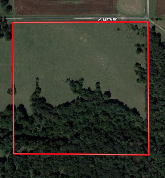 1102 North 1929th Road Tonica, IL 61370 - Photo 3 of 20 a small garden covered with tall trees