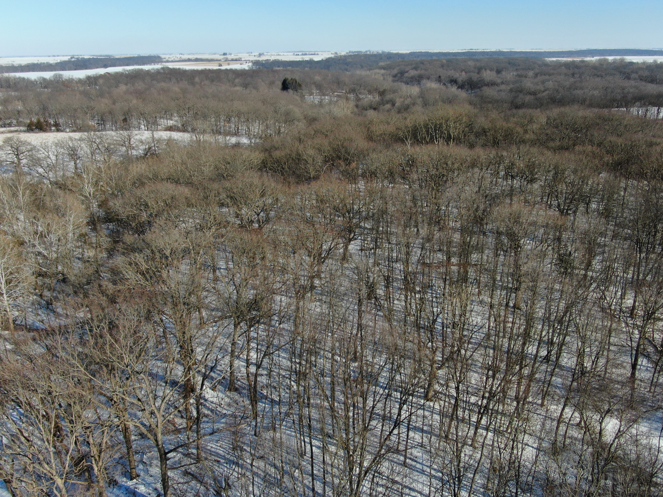 1102 North 1929th Road Tonica, IL 61370 - Photo 6 of 20 a view of a dry yard