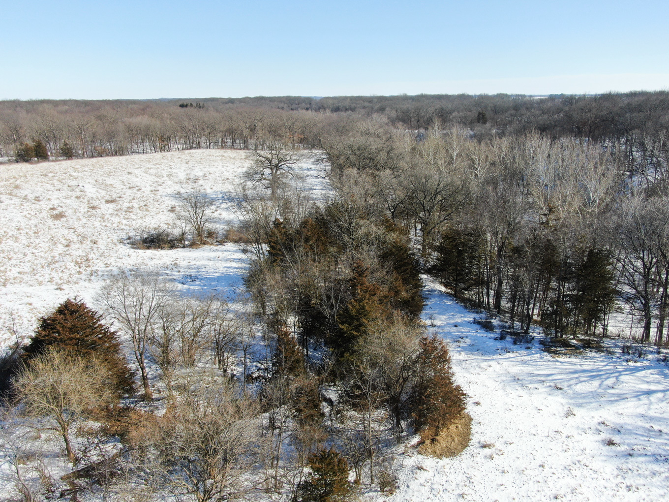 1102 North 1929th Road Tonica, IL 61370 - Photo 7 of 20 a view of mountain view with lots of trees