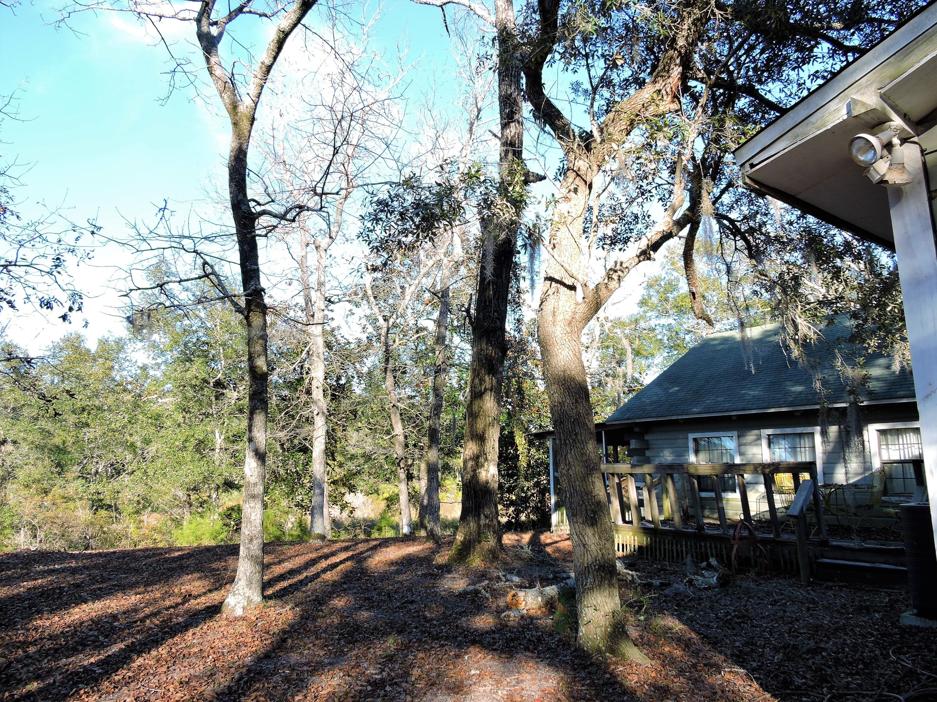 764 Satsuma Road Niceville, FL 32578 - Photo 4 of 45 DSCN9127
