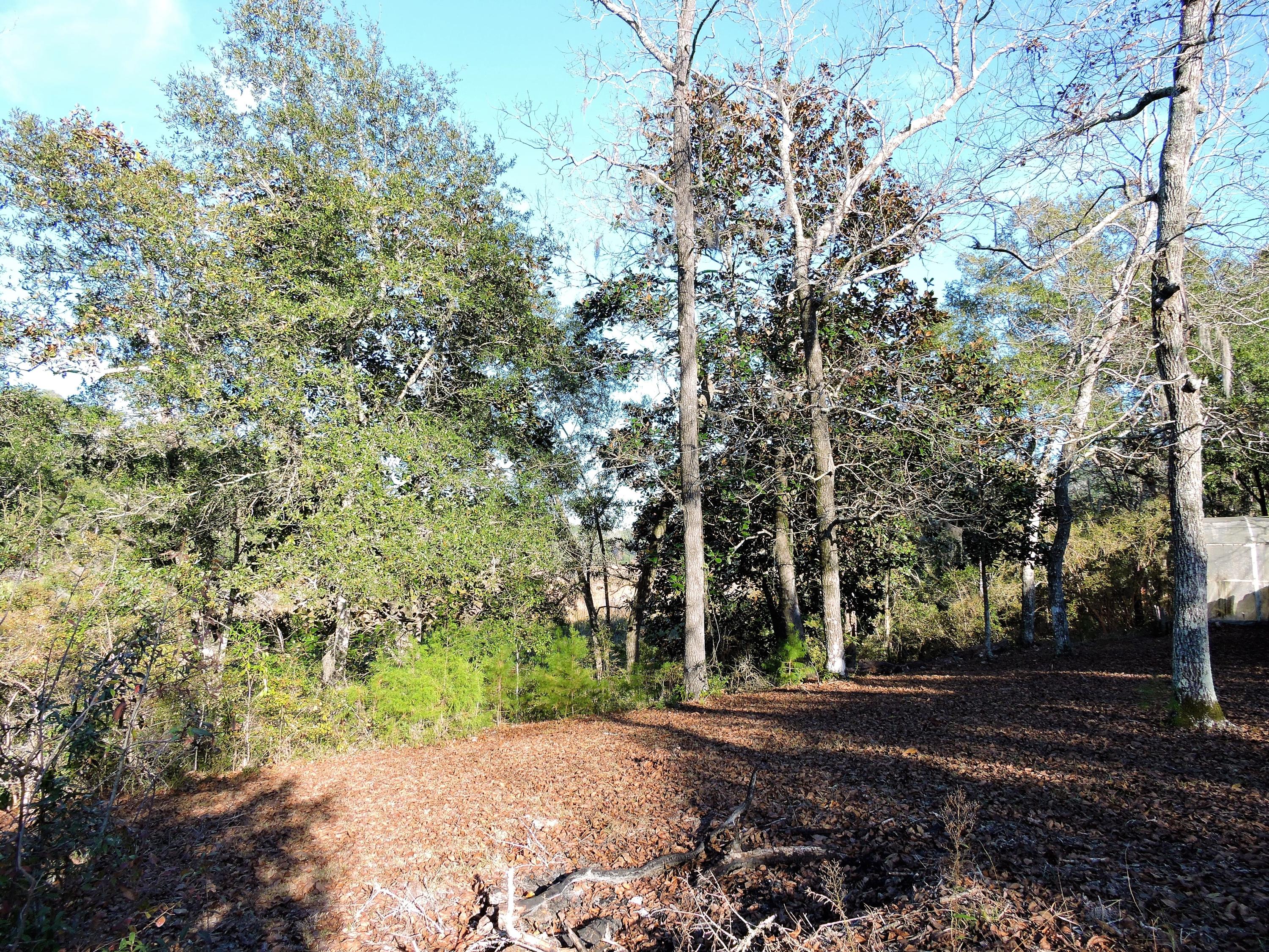 764 Satsuma Road Niceville, FL 32578 - Photo 5 of 45 DSCN9128