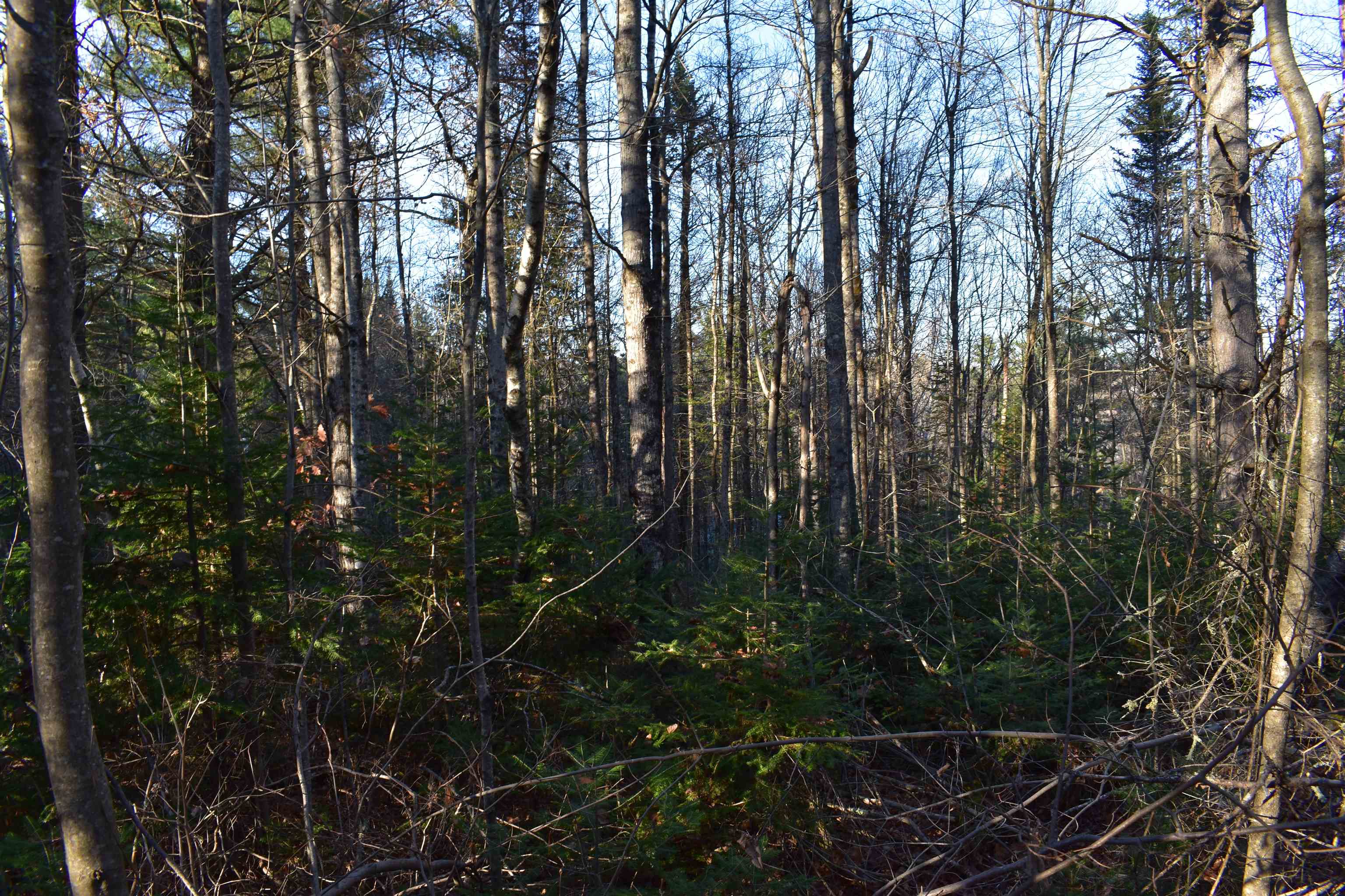 North Groton Road Hebron, NH 03241 - Photo 5 of 7