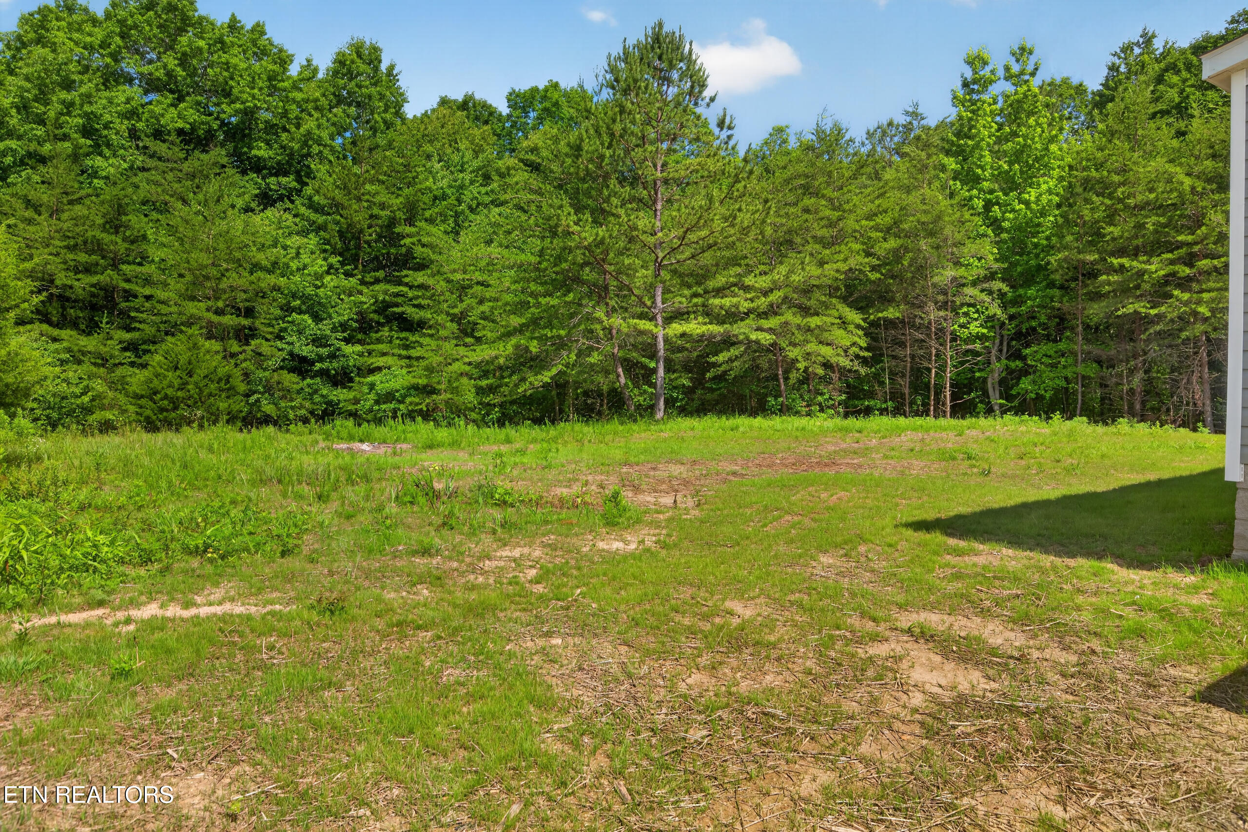 1090 Bill Black Road Clarkrange, TN 38553 - Photo 43 of 46 1T1C0767