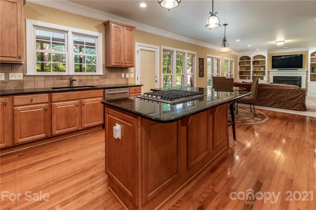 16604 Turtle Point Road Charlotte, NC 28278 - Photo 2 of 48 Gallery Image 2