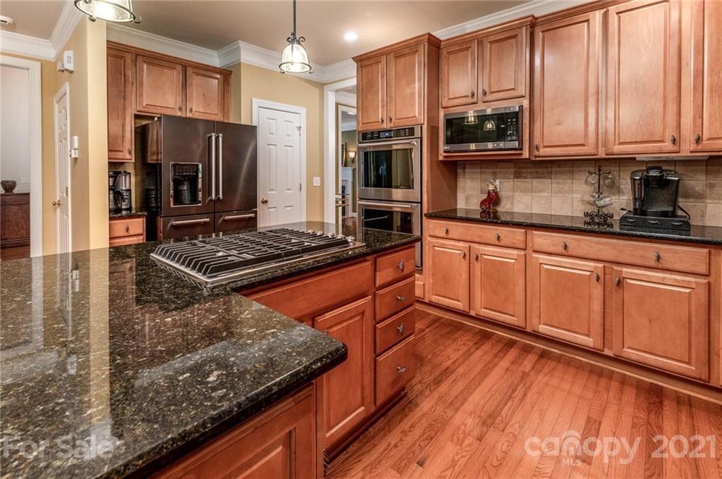 16604 Turtle Point Road Charlotte, NC 28278 - Photo 3 of 48 Gallery Image 3