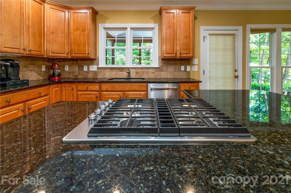 16604 Turtle Point Road Charlotte, NC 28278 - Photo 7 of 48 Gallery Image 7