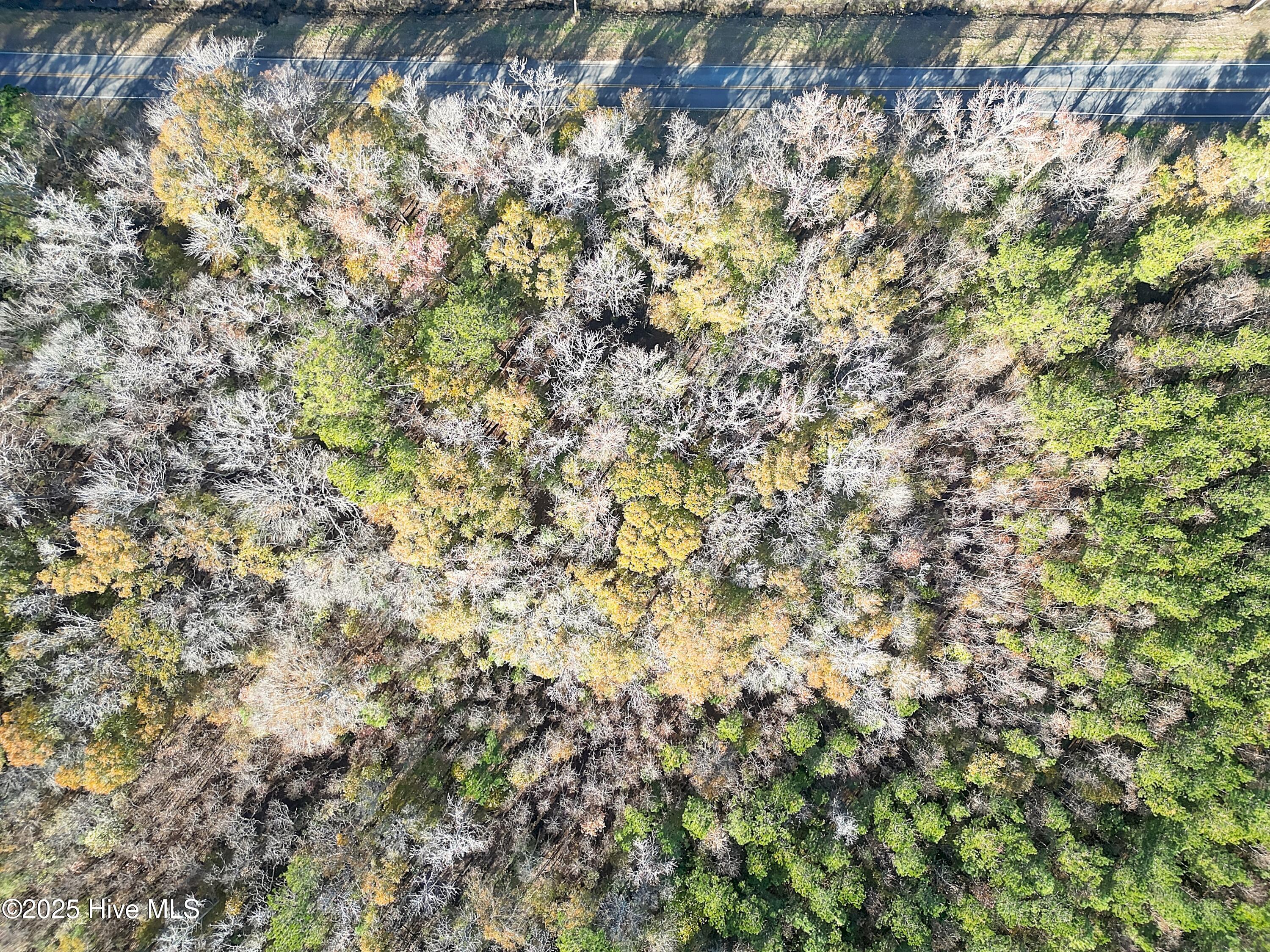 1326 Ash Little River Road Northwest Calabash, NC 28467 - Photo 3 of 19 Overhead View of Property