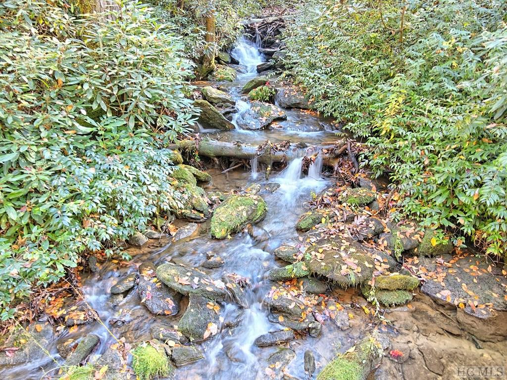 693 Wandering Ridge Cashiers, NC 28717 - Photo 5 of 54 Gallery Image 5
