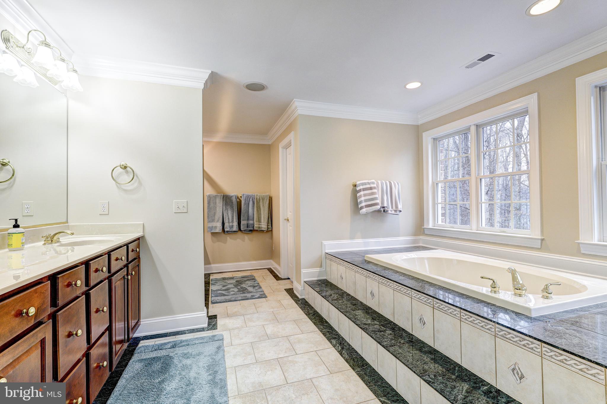 17420 Wesley Chapel Road Monkton, MD 21111 - Photo 28 of 76 Lge primary bathroom w/ view of park-like setting.