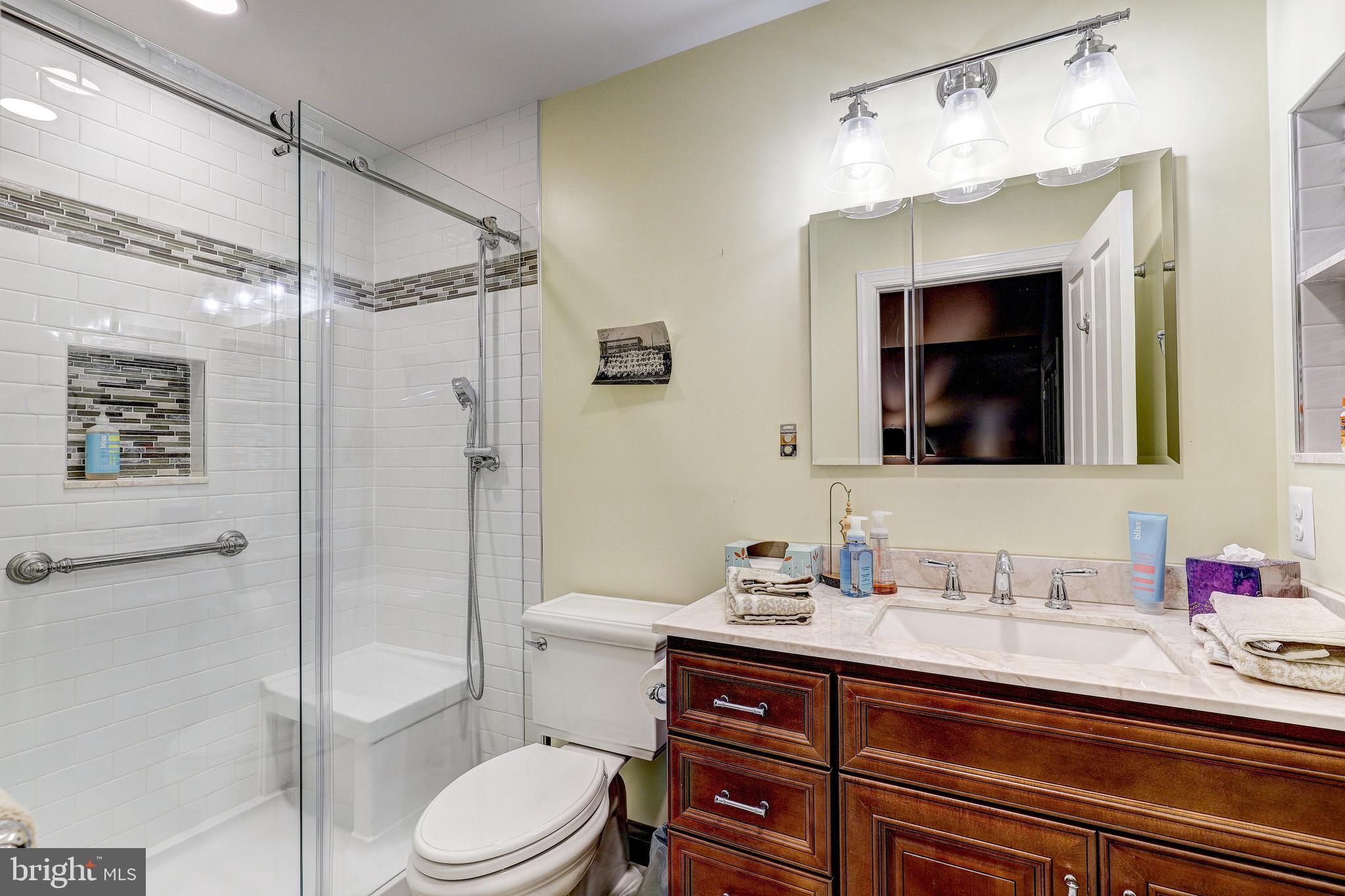 17420 Wesley Chapel Road Monkton, MD 21111 - Photo 34 of 76 a bathroom with a granite countertop sink toilet mirror and shower