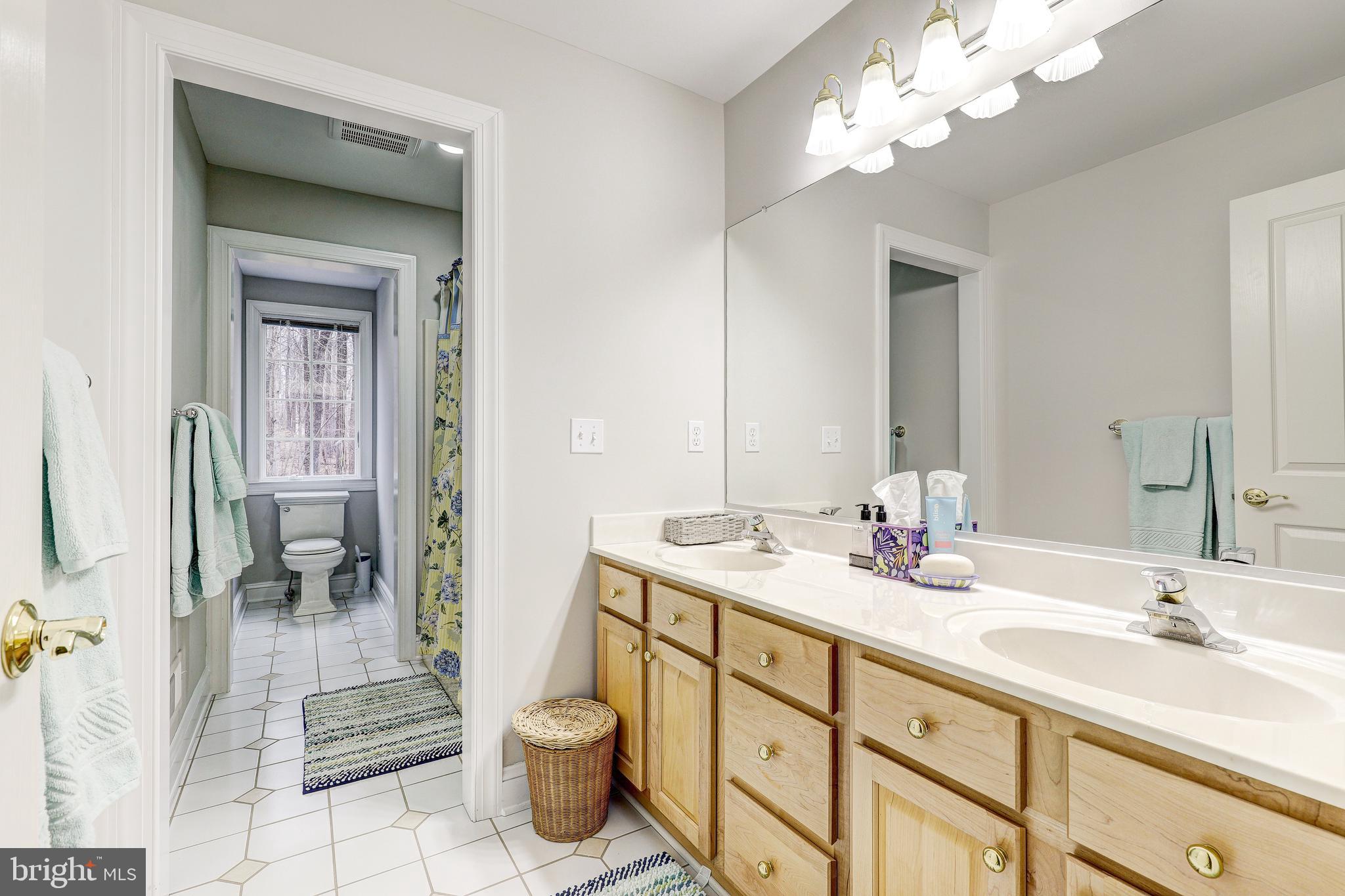 17420 Wesley Chapel Road Monkton, MD 21111 - Photo 38 of 76 a bathroom with a sink a toilet and a mirror