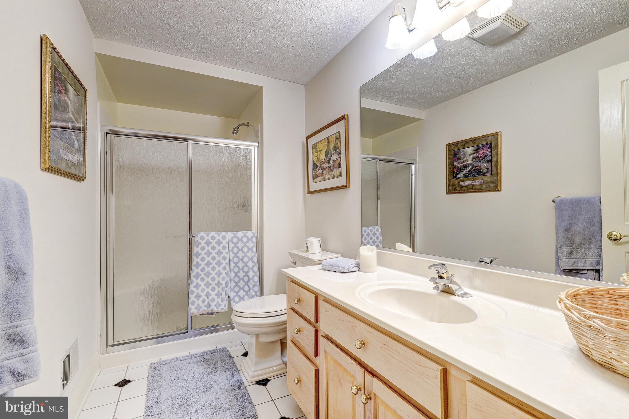 17420 Wesley Chapel Road Monkton, MD 21111 - Photo 47 of 76 a bathroom with a sink a toilet and shower