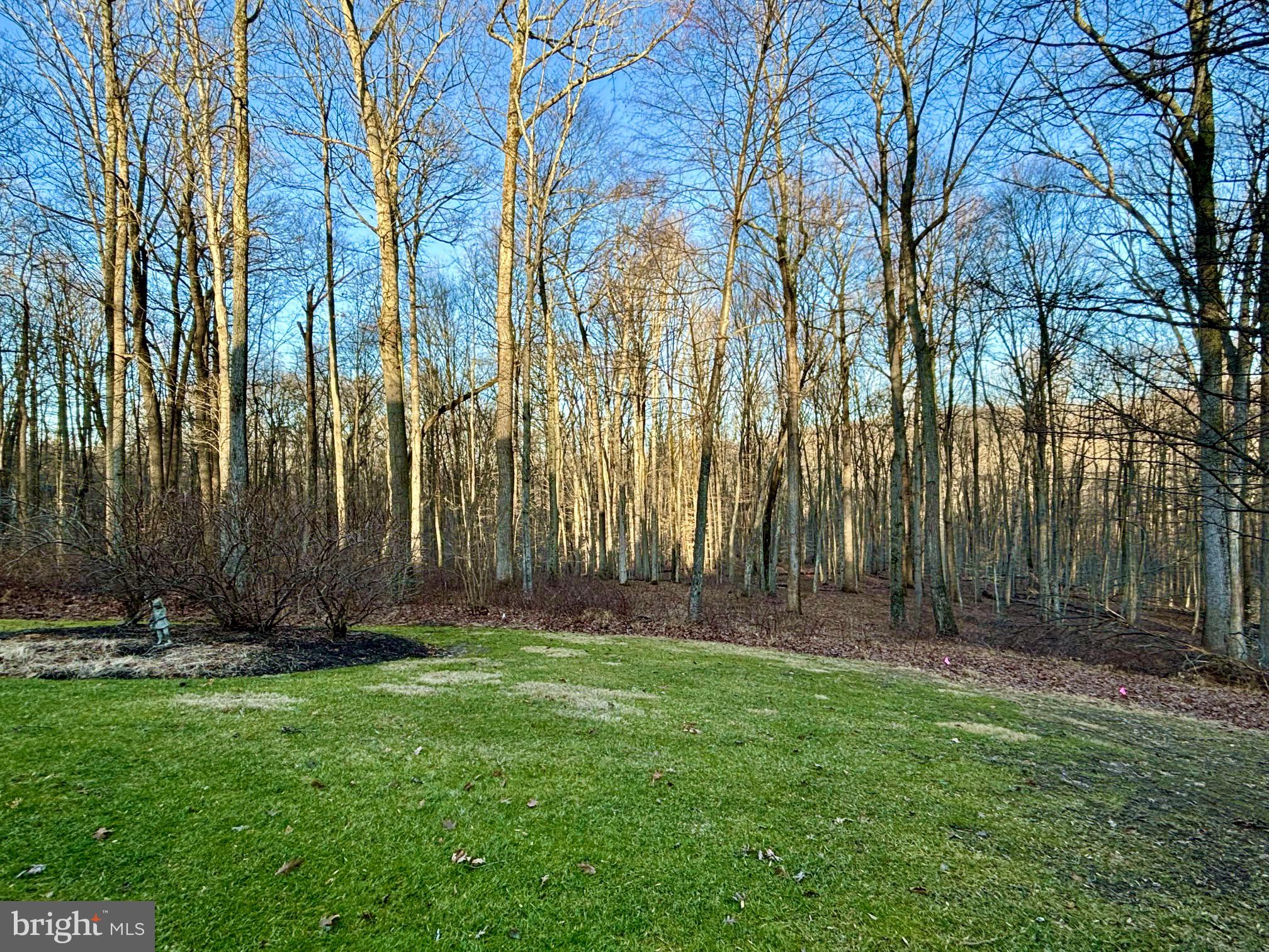 17420 Wesley Chapel Road Monkton, MD 21111 - Photo 53 of 76 a view of outdoor space with a garden
