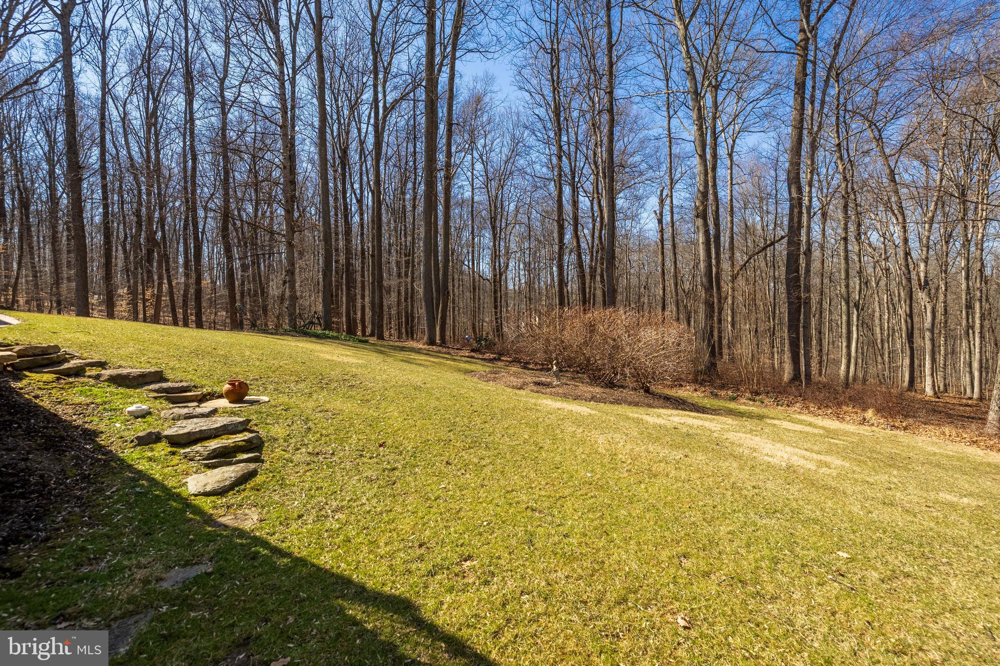 17420 Wesley Chapel Road Monkton, MD 21111 - Photo 56 of 76 a view of a yard with an trees