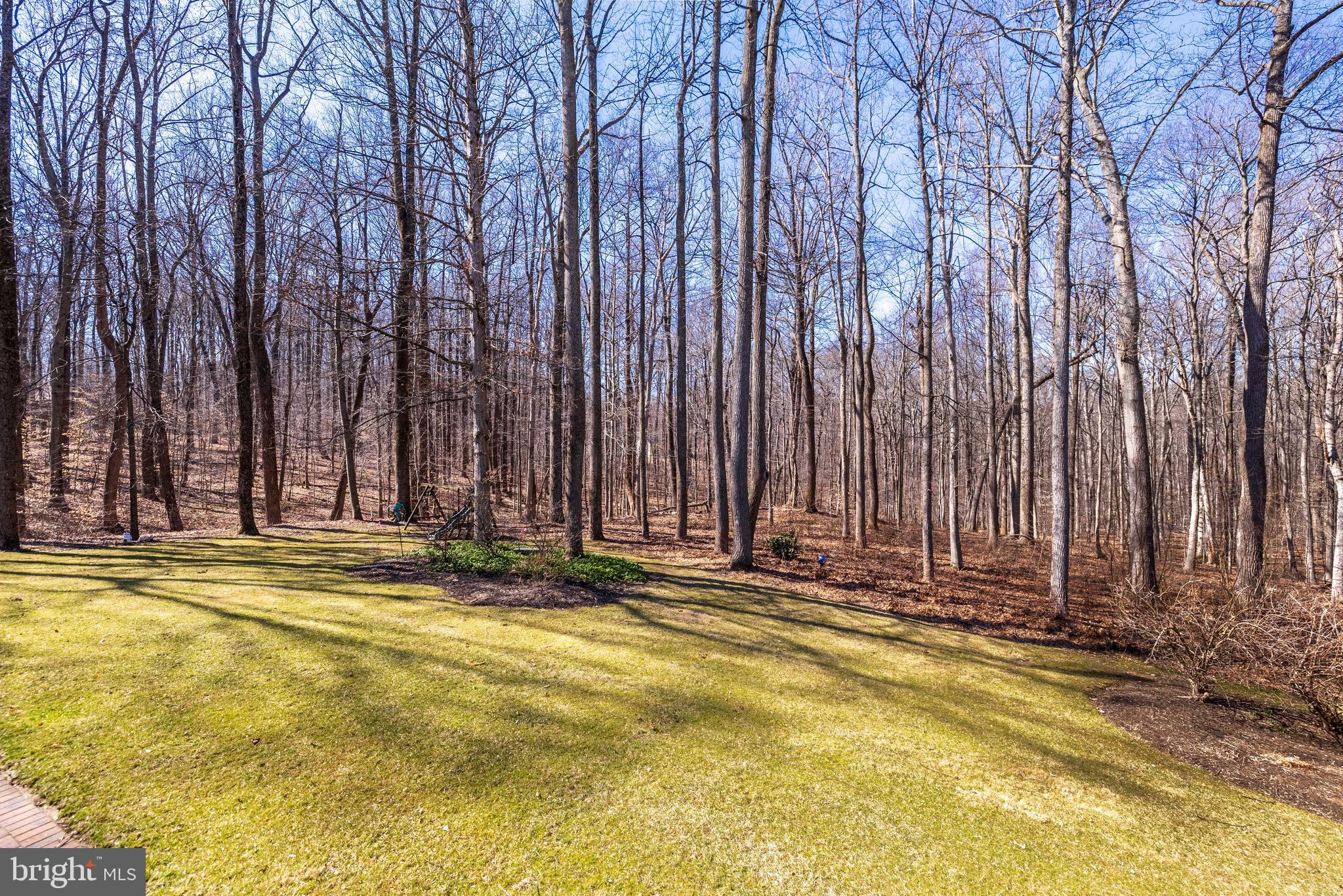 17420 Wesley Chapel Road Monkton, MD 21111 - Photo 58 of 76 a view of swimming pool with large trees