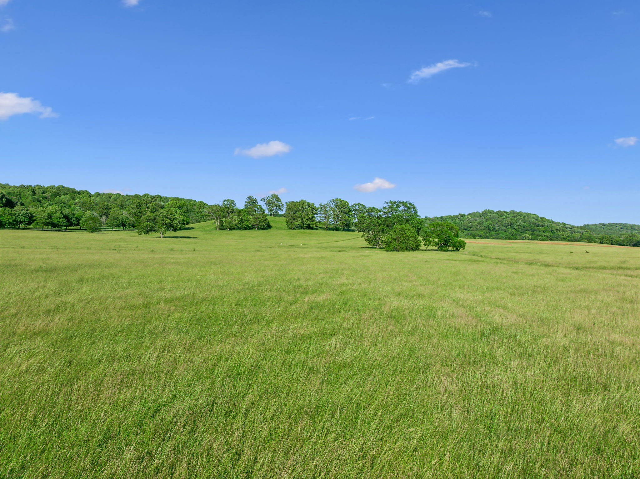 3201 Carl Road Franklin, TN 37064 - Photo 17 of 47 a view of a big yard with plants and large trees