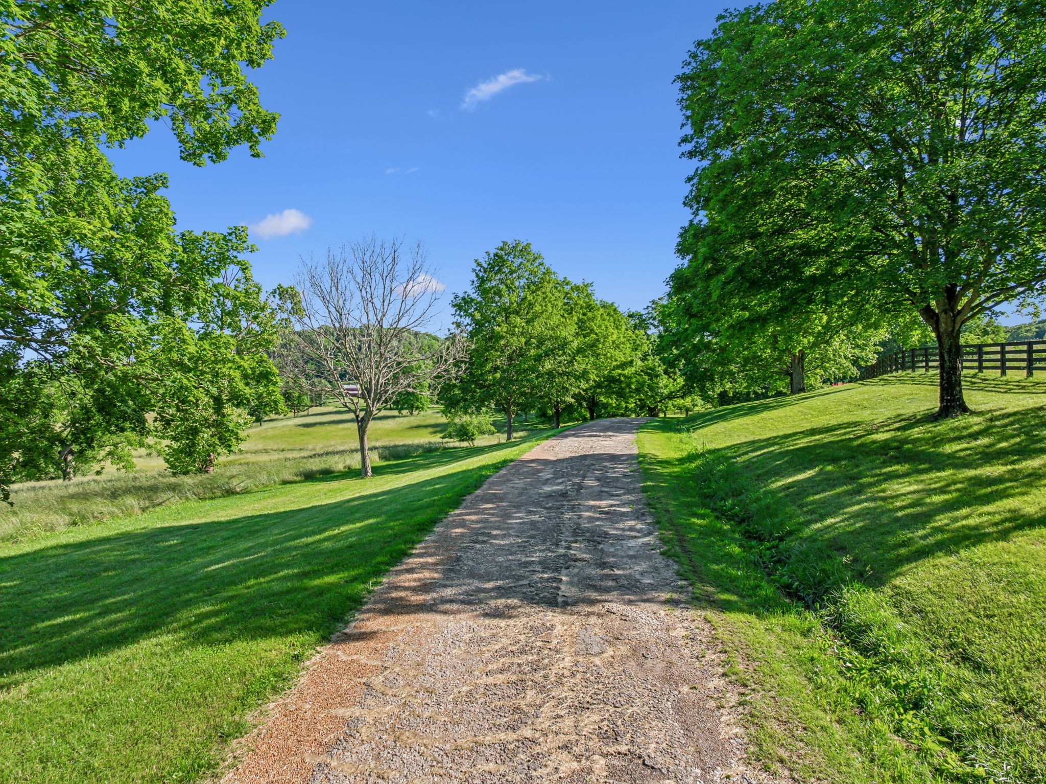 3201 Carl Road Franklin, TN 37064 - Photo 18 of 47 a view of a golf course with a garden