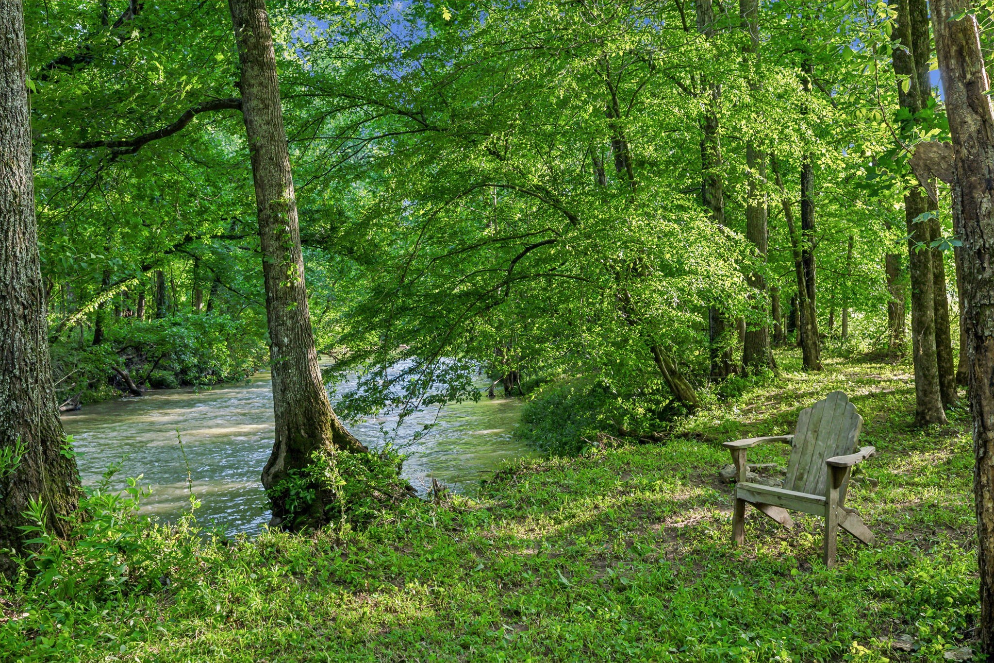 3201 Carl Road Franklin, TN 37064 - Photo 19 of 47 a view of a bench in a garden