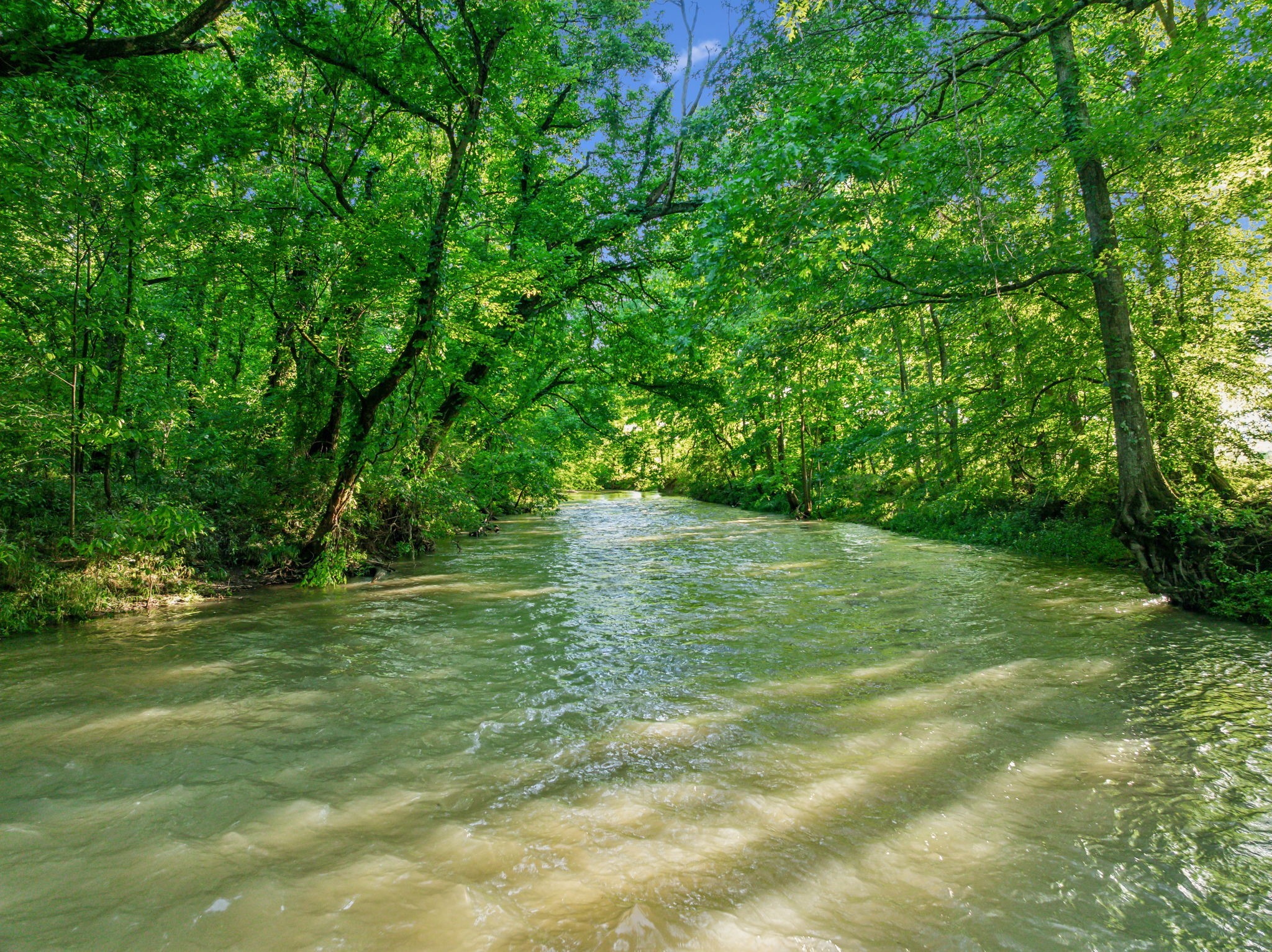 3201 Carl Road Franklin, TN 37064 - Photo 21 of 47 a backyard of a house with lots of green space