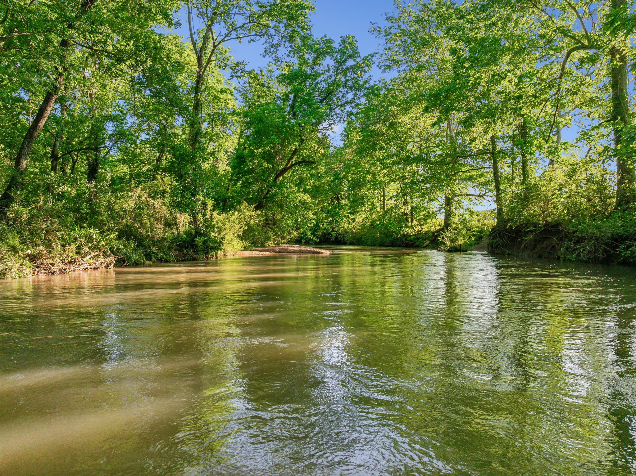3201 Carl Road Franklin, TN 37064 - Photo 22 of 47 a view of lake view
