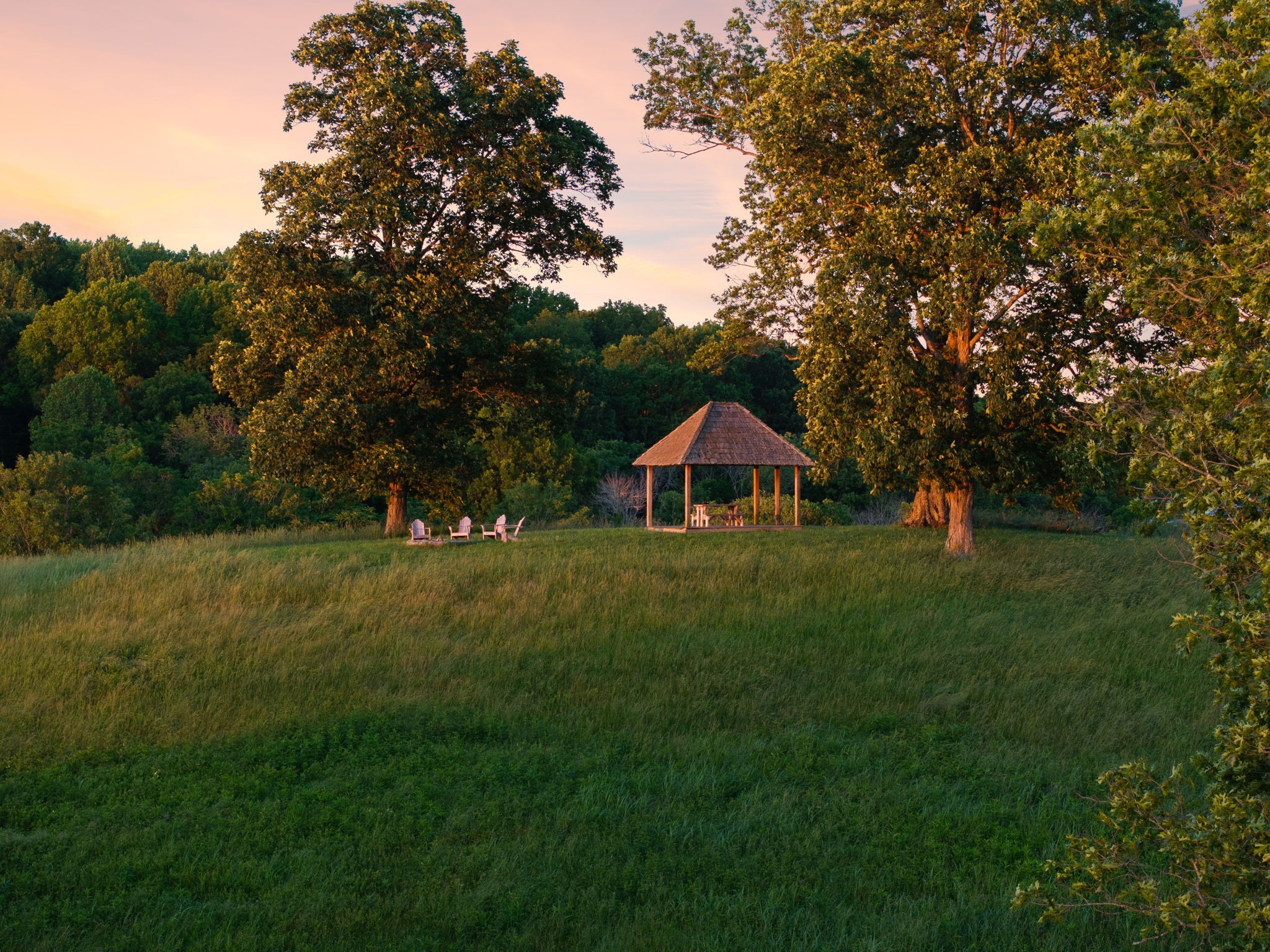 3201 Carl Road Franklin, TN 37064 - Photo 3 of 47 a front view of a house with garden