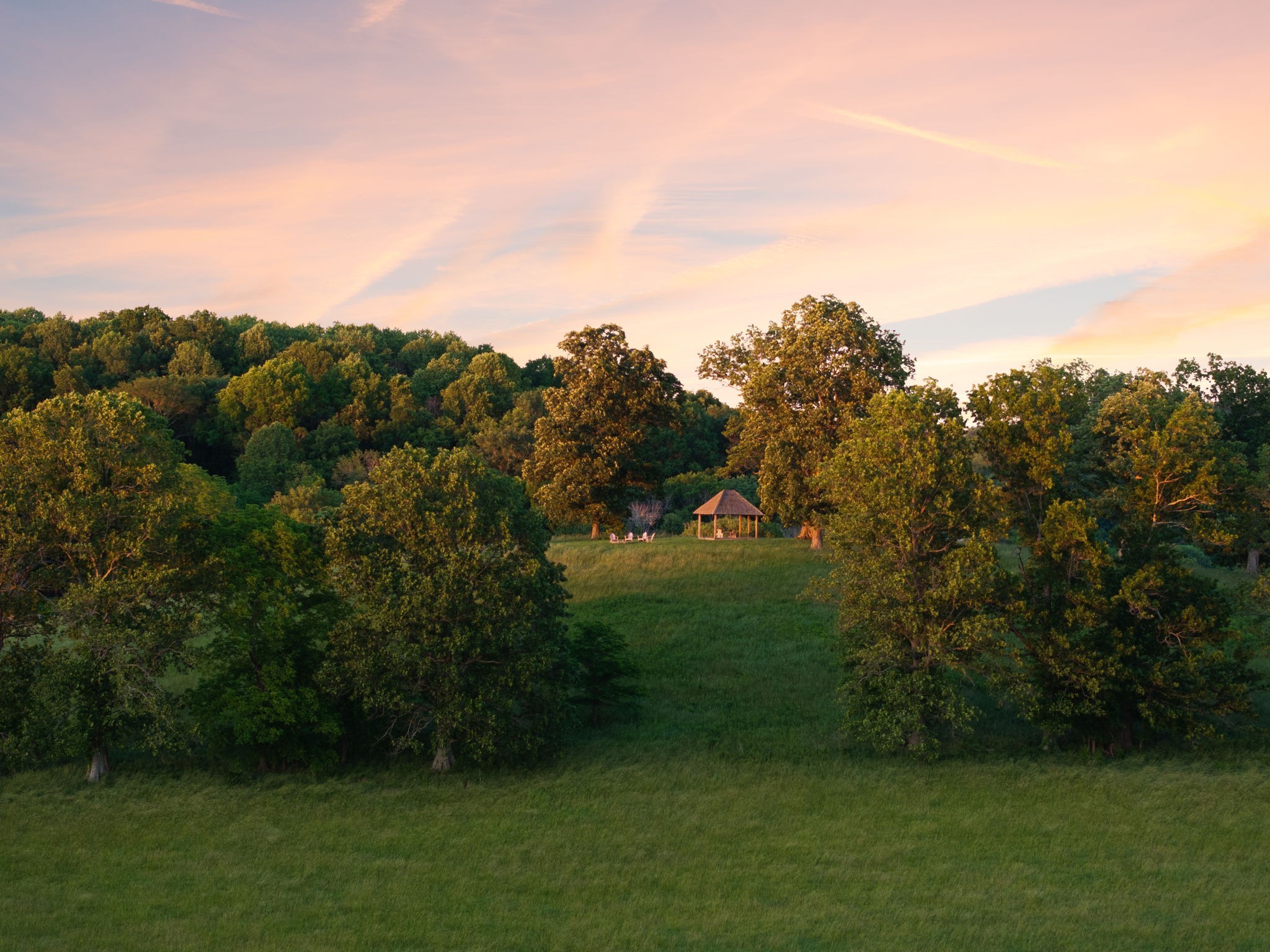 3201 Carl Road Franklin, TN 37064 - Photo 42 of 47 a view of a big yard with a large tree