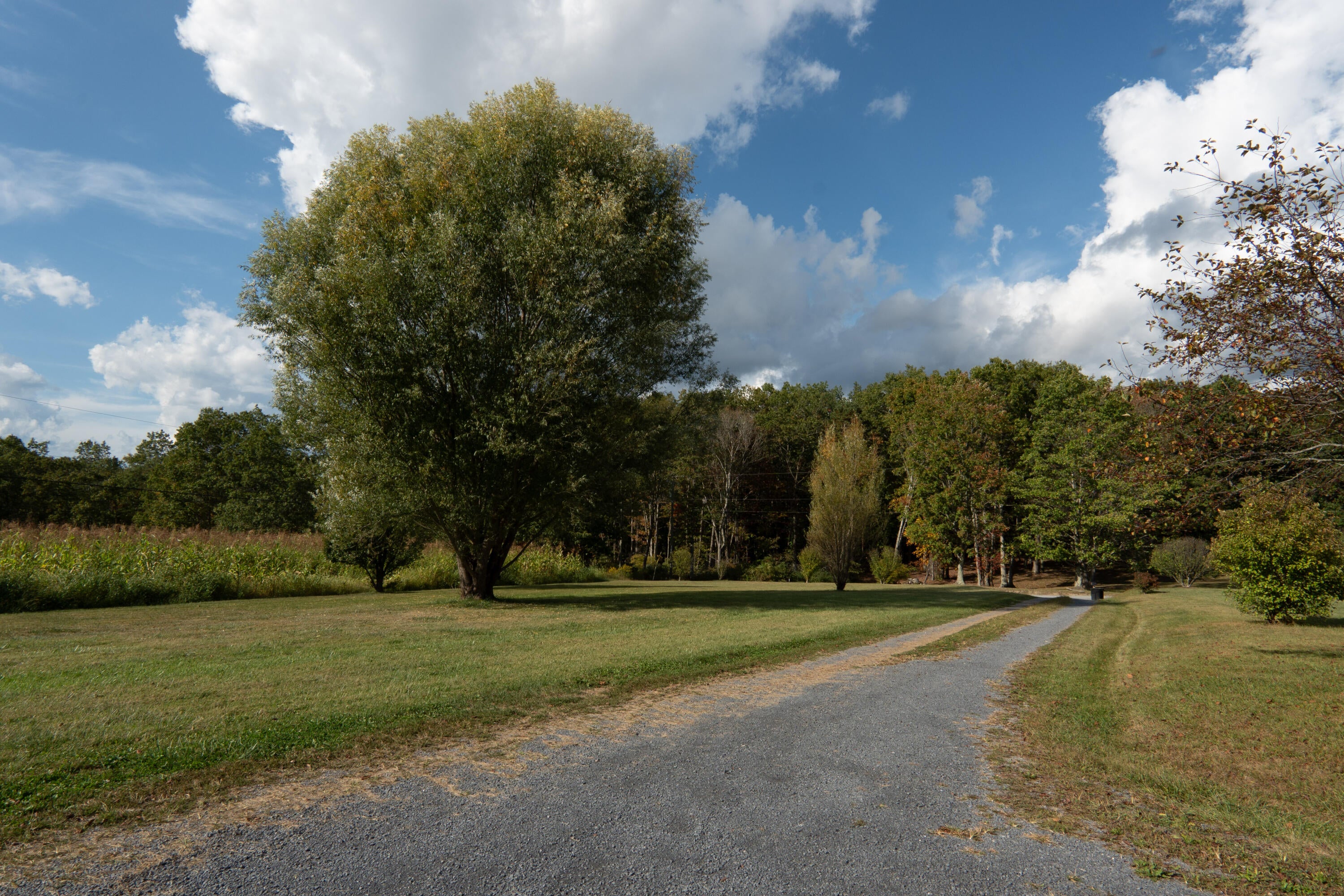 532 Coleman Cliff Road Frankford, WV 24938 - Photo 19 of 31 Gallery Image 19