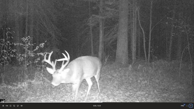 44047 Little Pine Road, Unit 568 ACRES Emily, MN 56447 - Photo 83 of 92