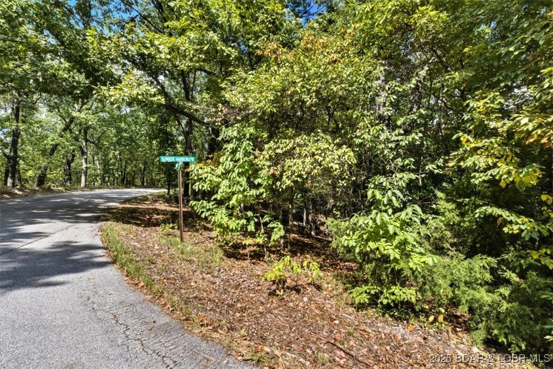 Tbd Sunrise Harbor Road Sunrise Beach, MO 65079 - Photo 2 of 35