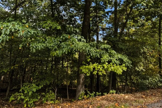 $75,000 | Tbd Sunrise Harbor Road, Sunrise Beach, MO 65079