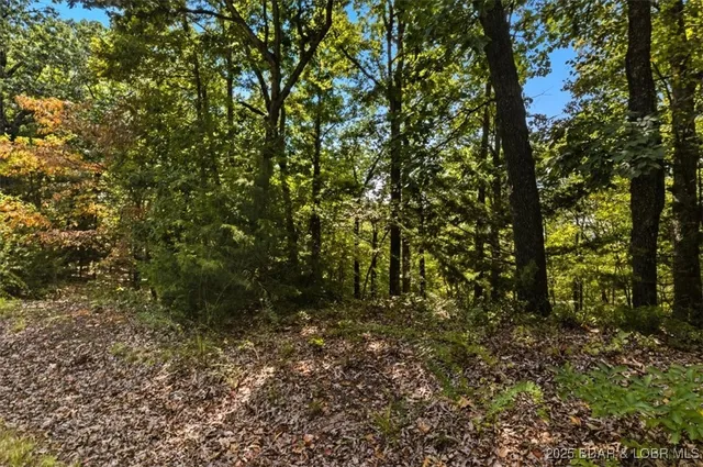 $75,000 | Tbd Sunrise Harbor Road, Sunrise Beach, MO 65079