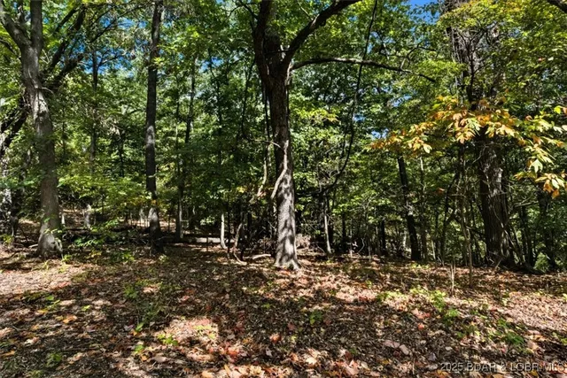 $75,000 | Tbd Sunrise Harbor Road, Sunrise Beach, MO 65079