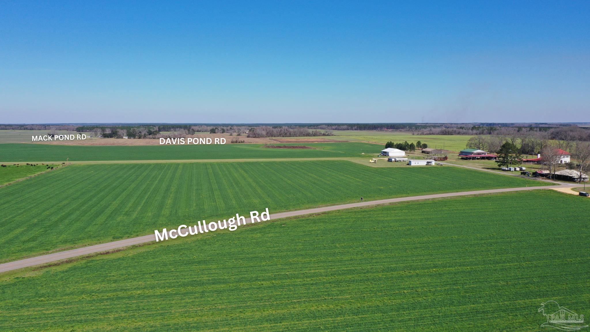 Lot 1 Mccullough Road Atmore, AL 36502 - Photo 8 of 9