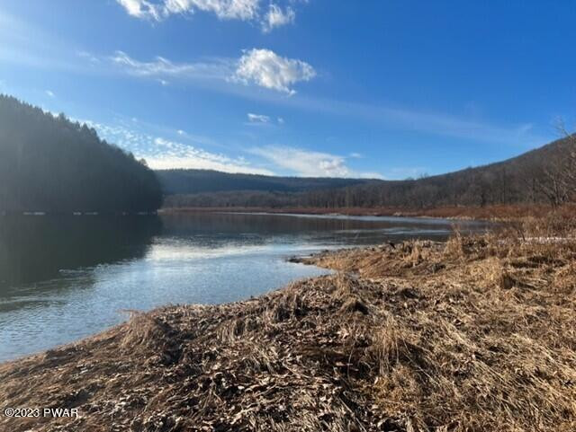 2 Warren Road Hancock, NY 13783 - Photo 6 of 29