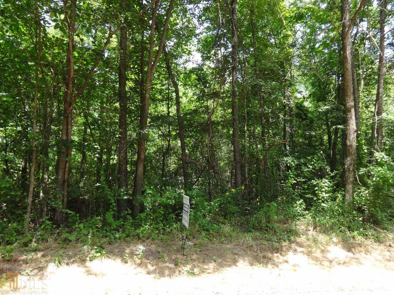 0 Lower Simmons Road Macon, GA 31220 - Photo 1 of 1