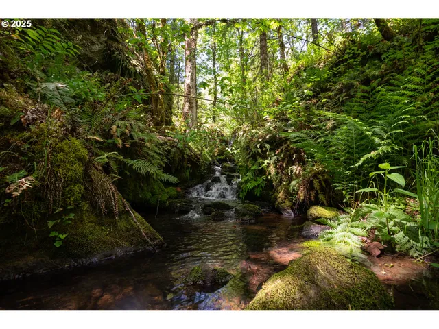 a view of swimming pool from a yard