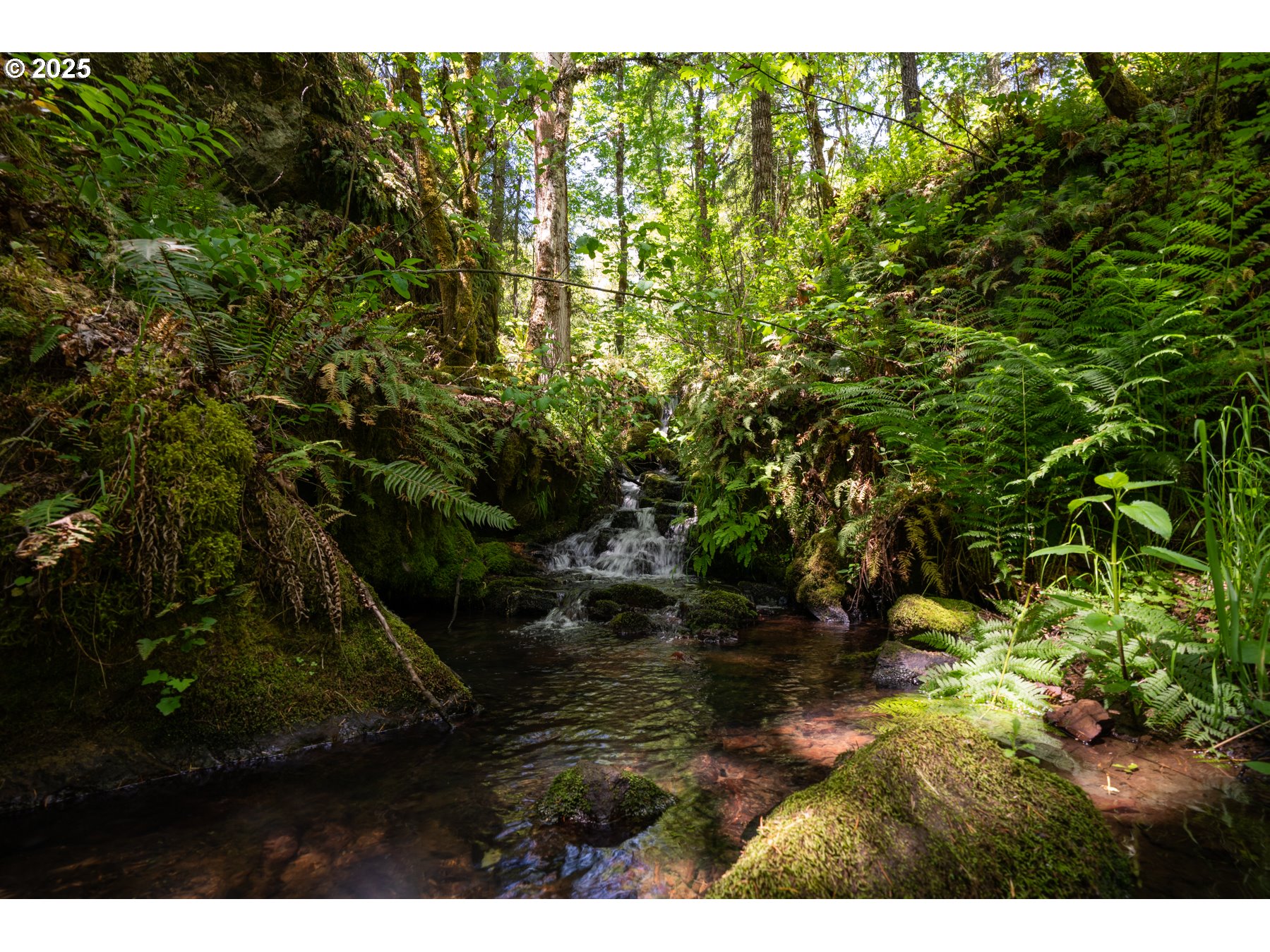 77690 Brock Road Oakridge, OR 97463 - Photo 14 of 45 a view of swimming pool from a yard