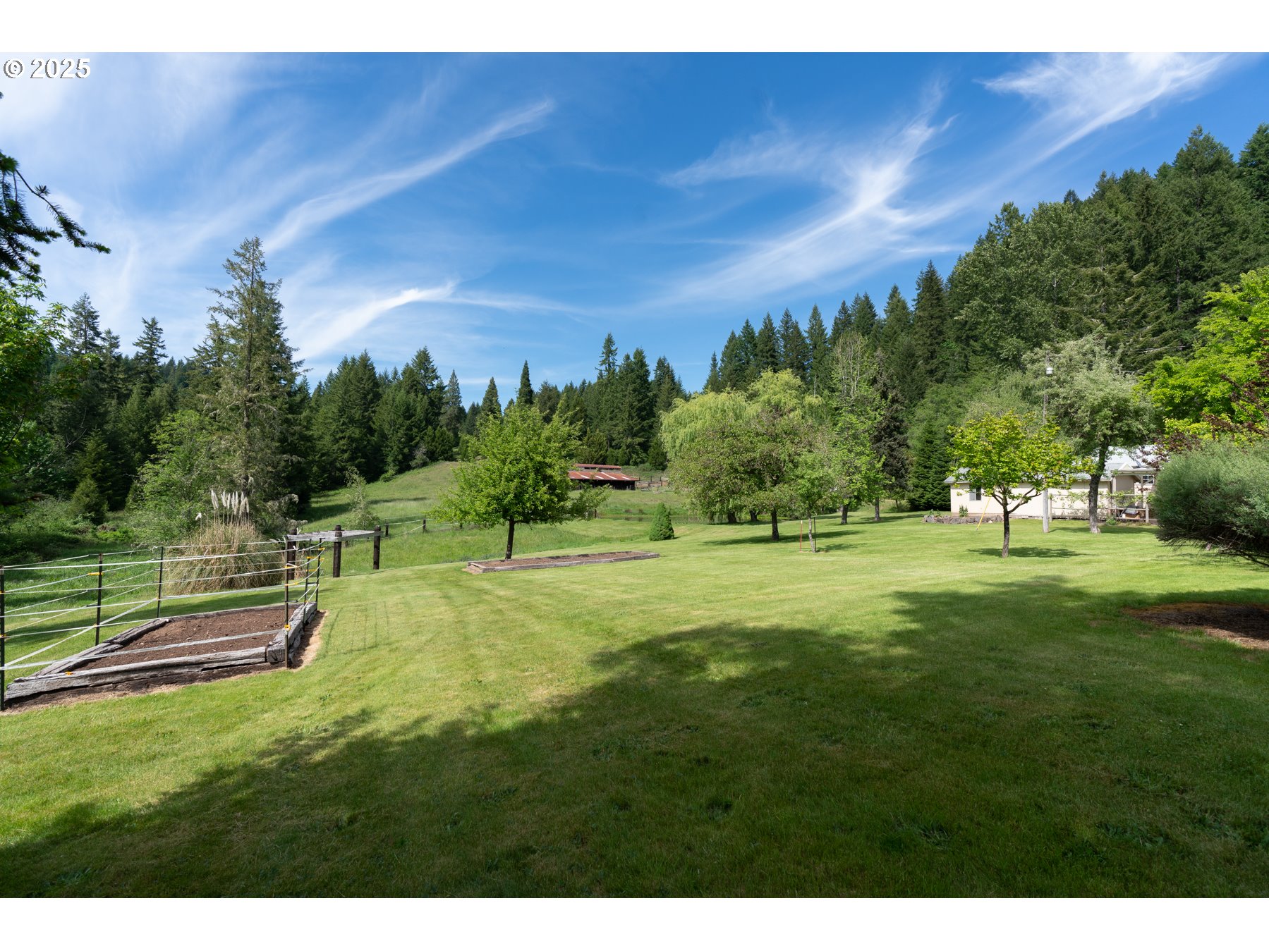 77690 Brock Road Oakridge, OR 97463 - Photo 43 of 45 a view of a park with large trees