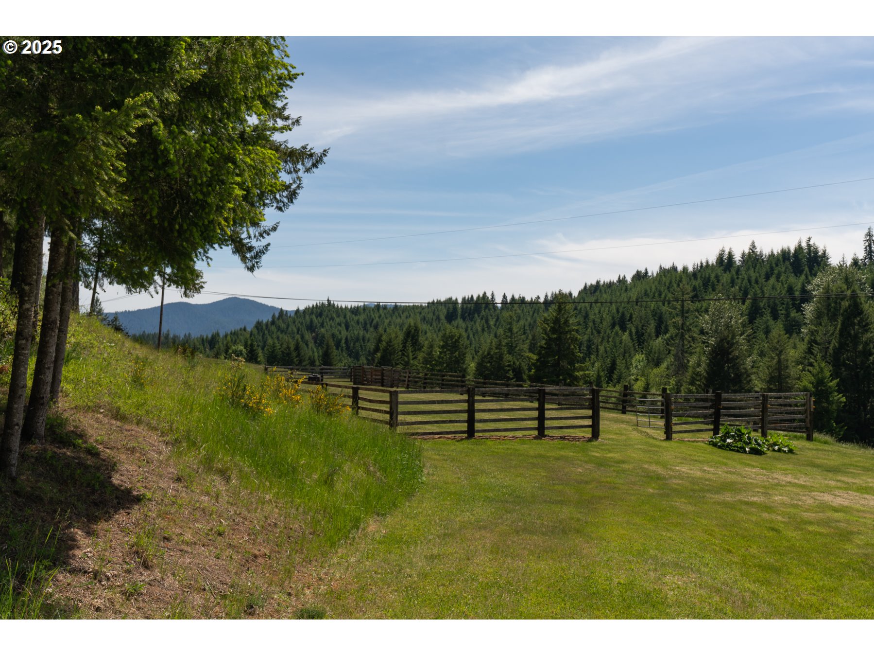 77690 Brock Road Oakridge, OR 97463 - Photo 8 of 45 a view of outdoor space with garden and trees