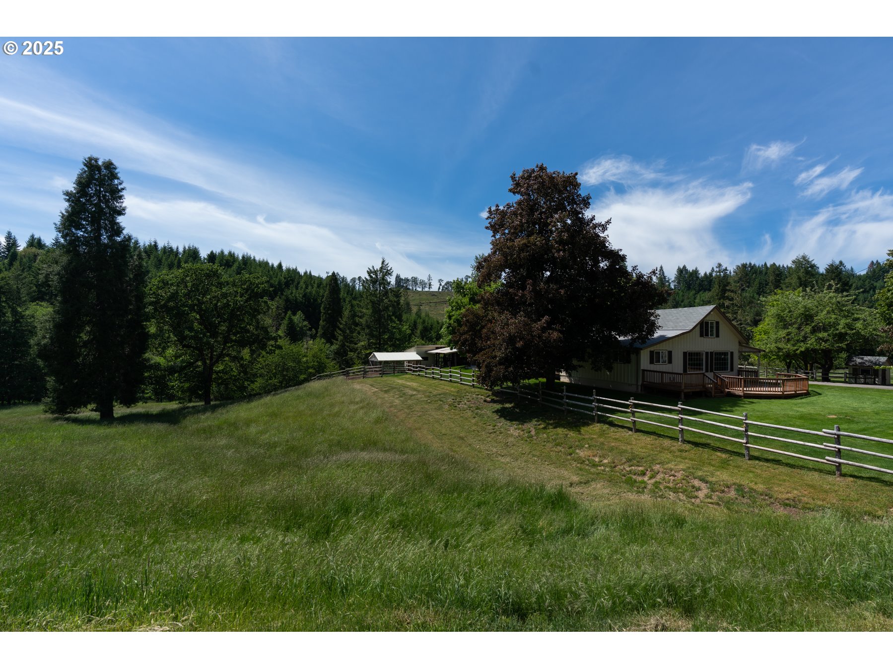 77690 Brock Road Oakridge, OR 97463 - Photo 9 of 45 a view of a big yard with potted plants and large trees