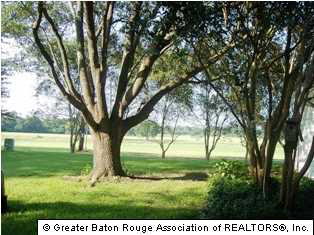 7635 Blendon Drive Baton Rouge, LA 70808 - Photo 9 of 10 Gallery Image 9