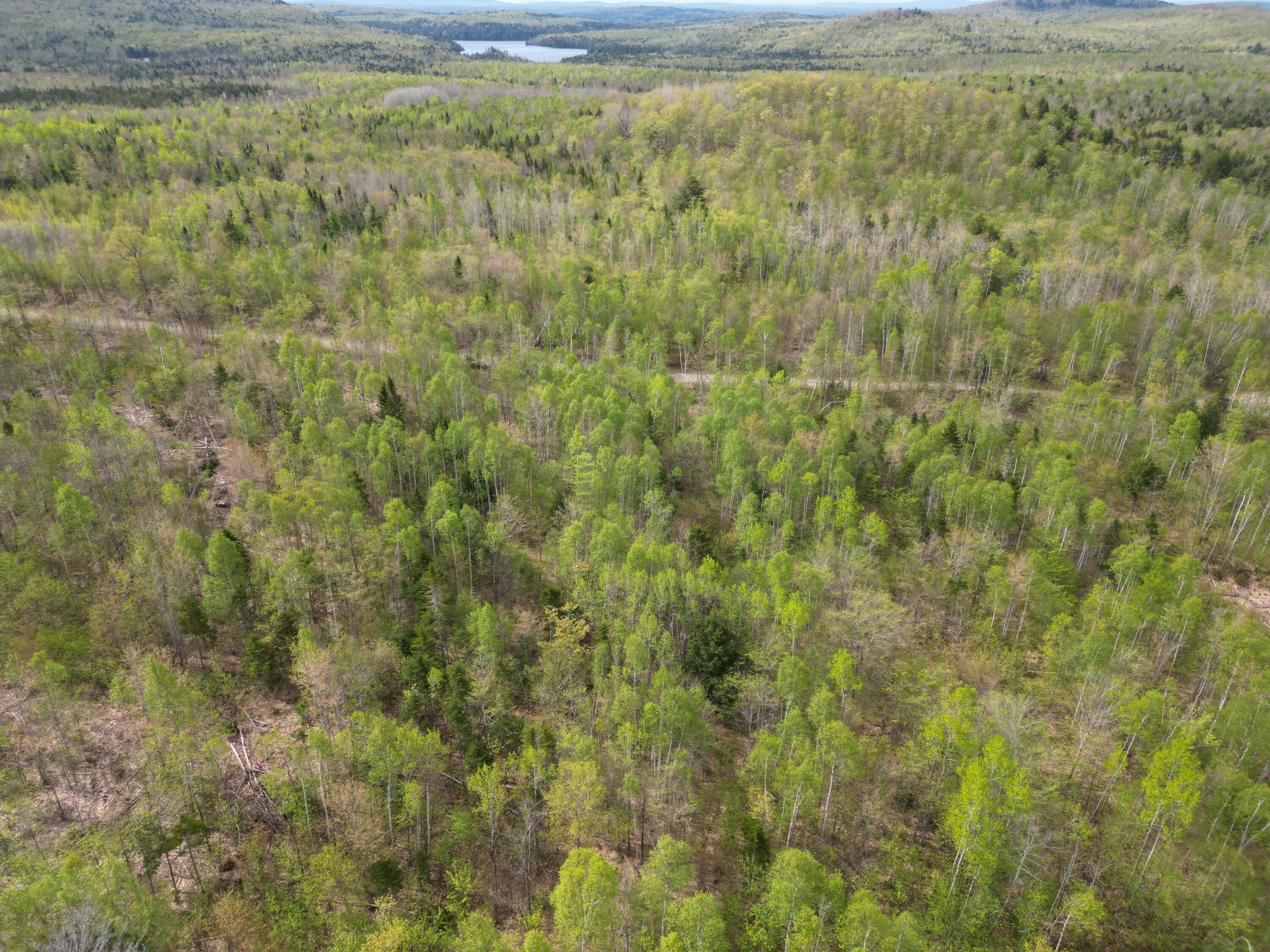 Lot 3 Moores Road Springfield, ME 04487 - Photo 4 of 12 DJI_0453