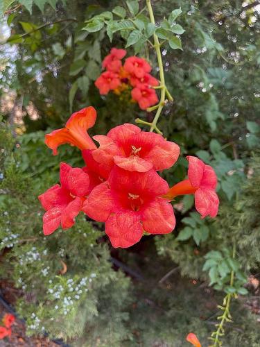 1470 16 Road Loma, CO 81524 - Photo 32 of 43