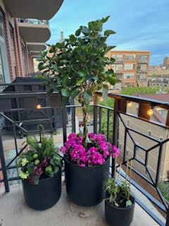 1301 West Madison Street, Unit 514 Chicago, IL 60607 - Photo 10 of 11