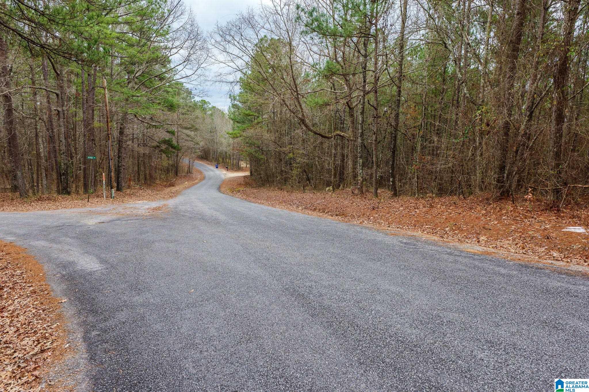 0 Frankies Road Vincent, AL 35178 - Photo 11 of 11 Gallery Image 11