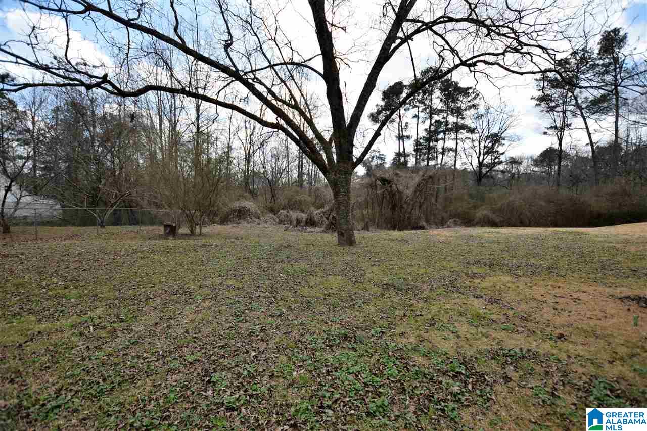 4972 Birmingport Road Mulga, AL 35118 - Photo 32 of 33