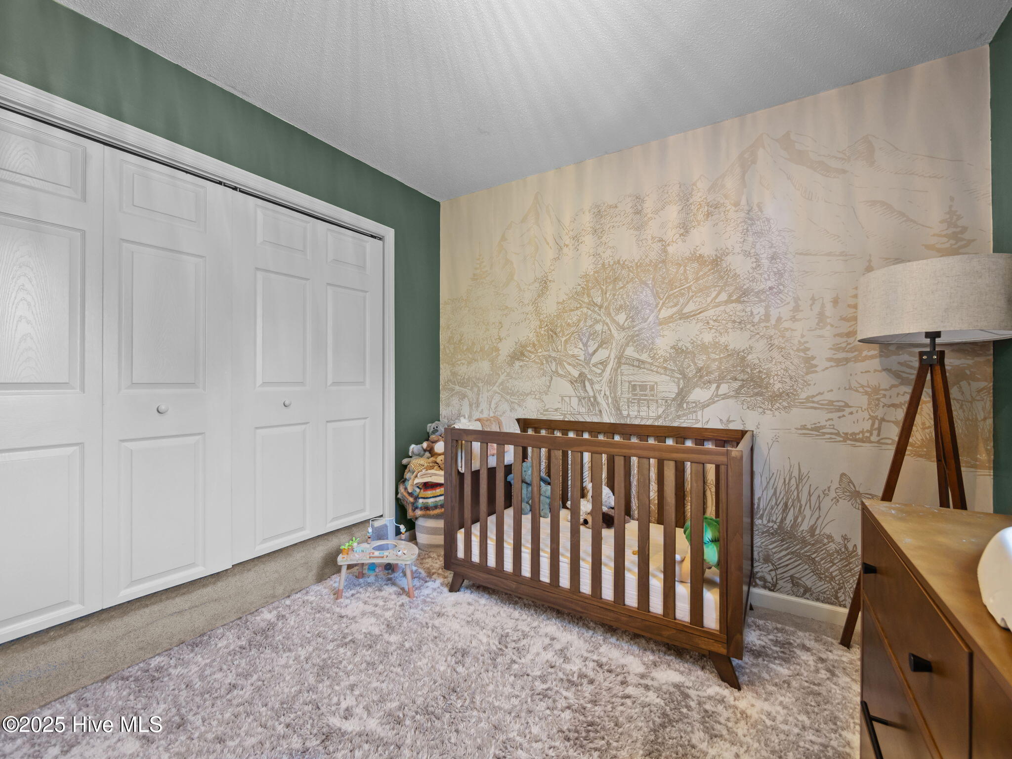 131 Spain Drive Hubert, NC 28539 - Photo 27 of 52 31-web-or-mls-P9031474