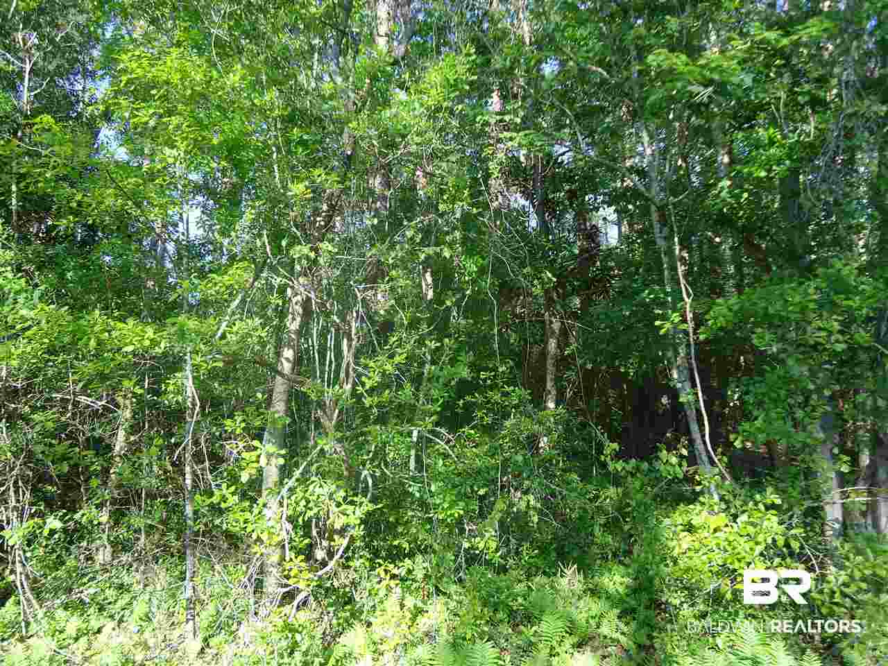 0 Hammock Road Elberta, AL 36530 - Photo 13 of 15