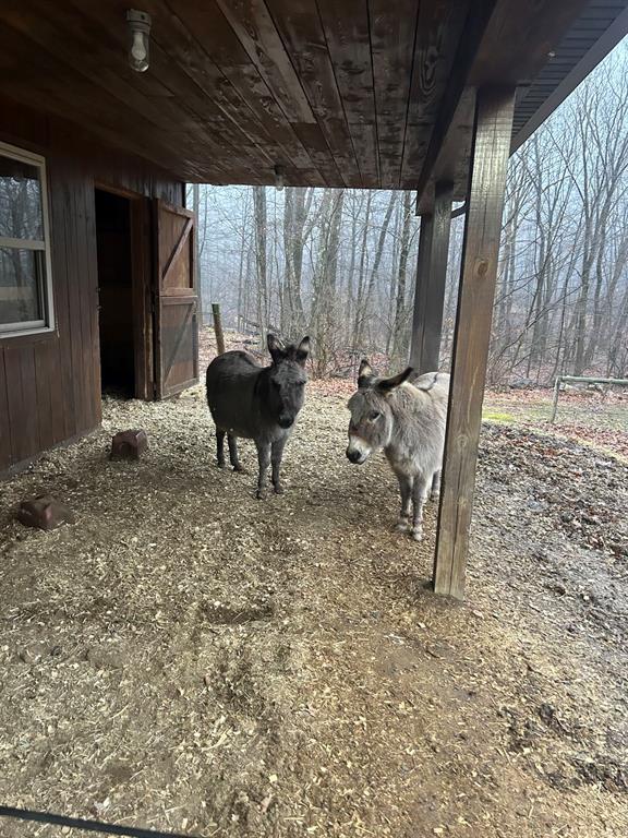 2419 Master Road Emlenton, PA 16373 - Photo 34 of 49