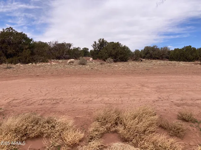 $32,850 | 9979 Texas Lane, Unit 16, Show Low, AZ 85901